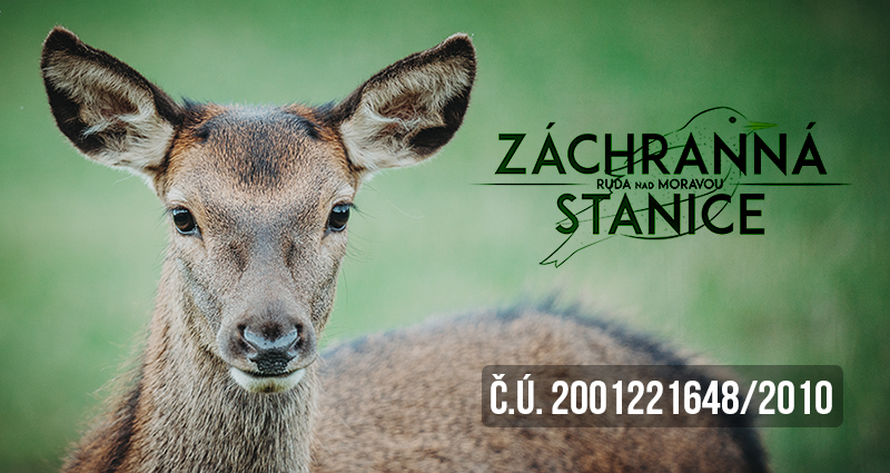 zachranna-stanicev-web-banner.jpg